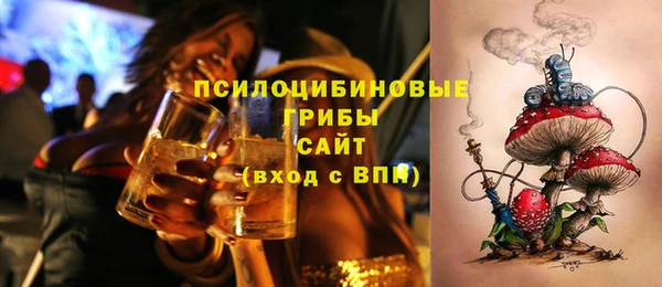 мдма Няндома
