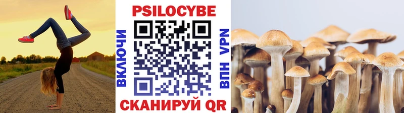 хочу   Борзя  Галлюциногенные грибы мицелий 