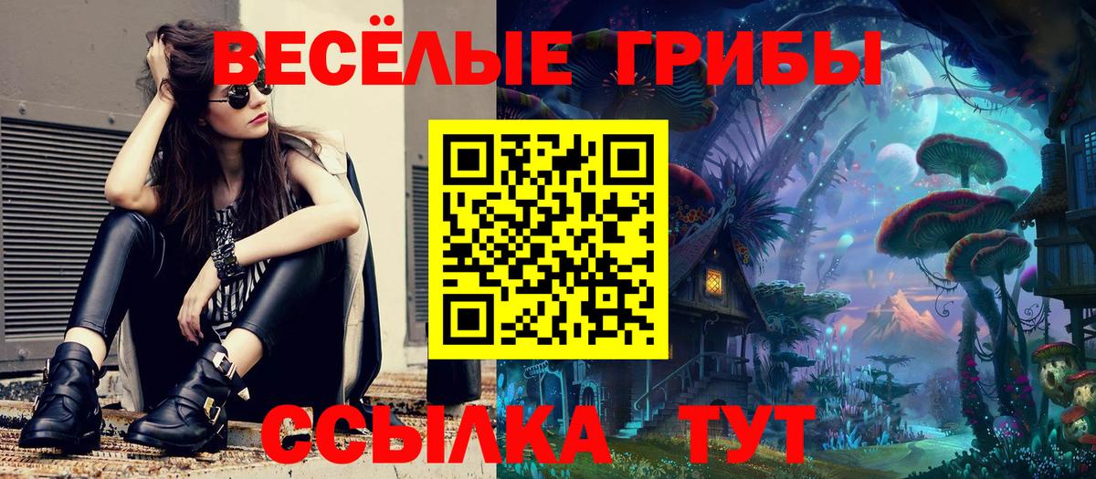 ГАШ Борзя