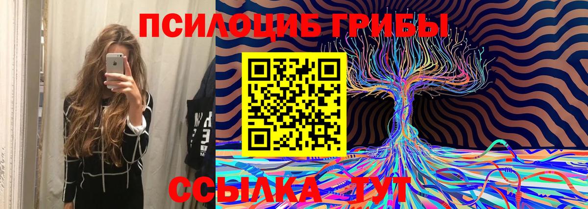 Борзя  сколько стоит  Вход с VPN  Галлюциногенные грибы мухоморы 