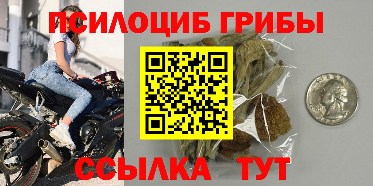 Галлюциногенные грибы Psilocybine cubensis Борзя
