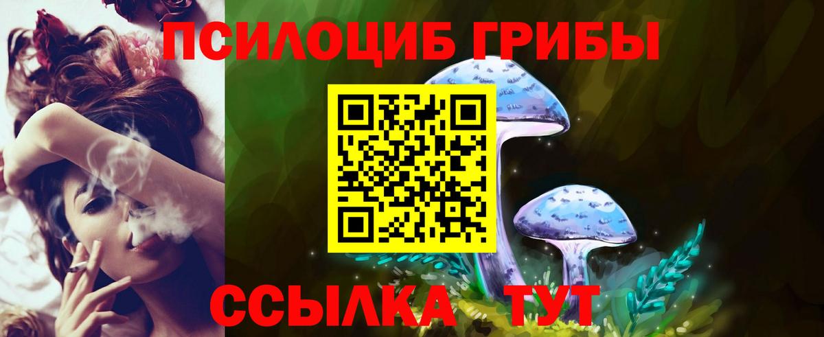 Галлюциногенные грибы GOLDEN TEACHER  Борзя  Галлюциногенные грибы Magic Shrooms 