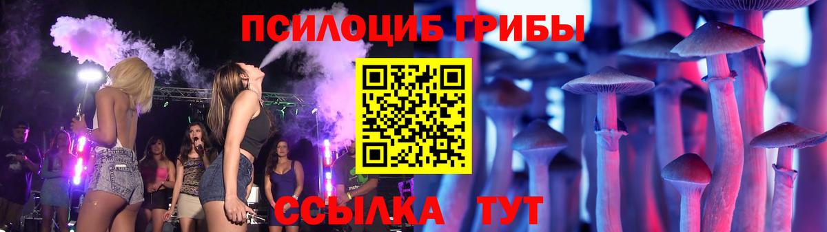 Псилоцибиновые грибы GOLDEN TEACHER Борзя