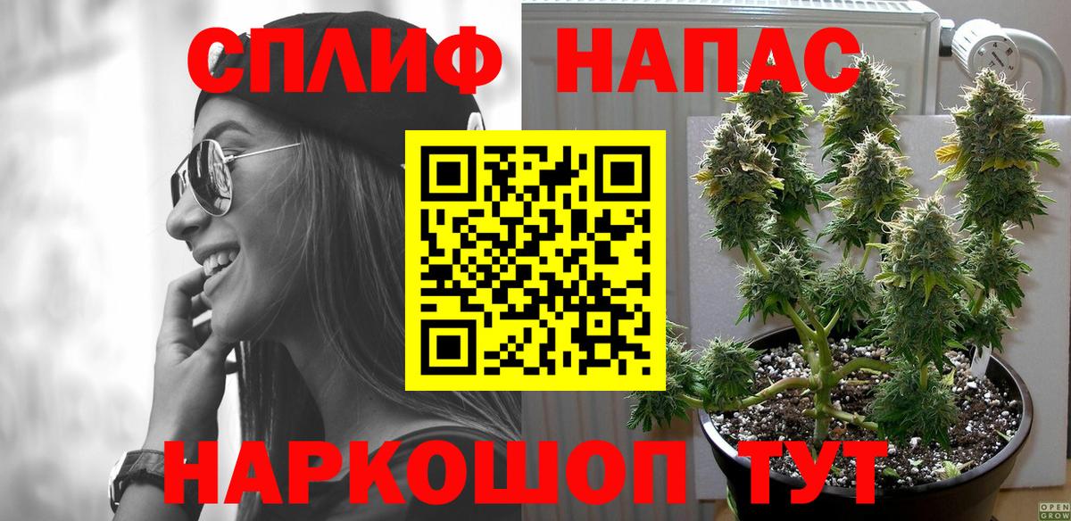 Канабис MAZAR Борзя